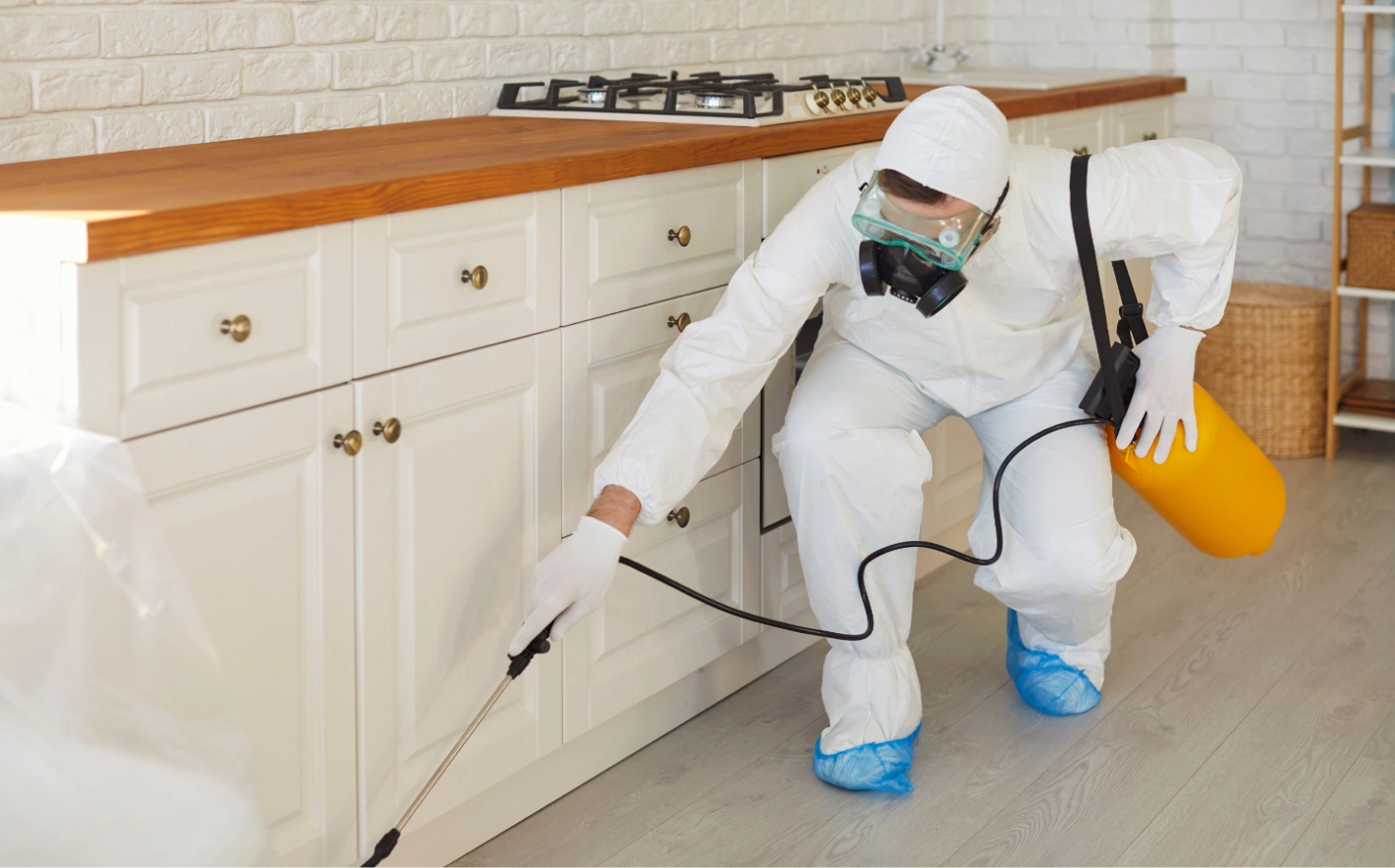 Pest Control Services